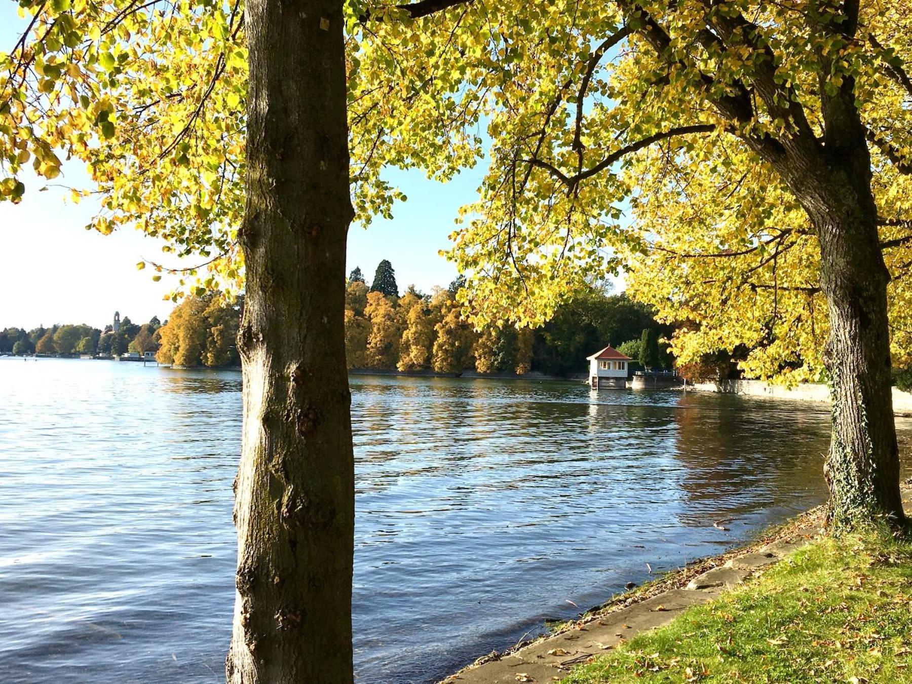 Ferienwohnung Lindauer Loewe Lindau  Exteriör bild